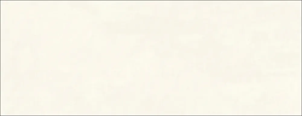 Výprodej NAXOS SURFACE obklad 25x59,5 cm, mat, talc