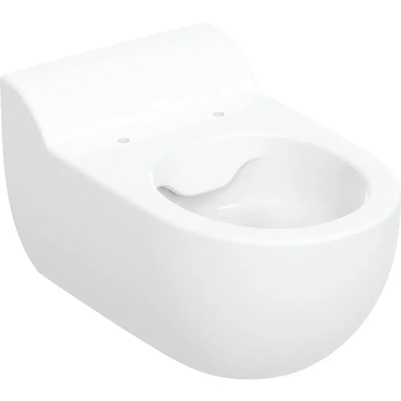 Tovární Cena GEBERIT BAMBINI dětské závěsné WC, Rimfree splachování