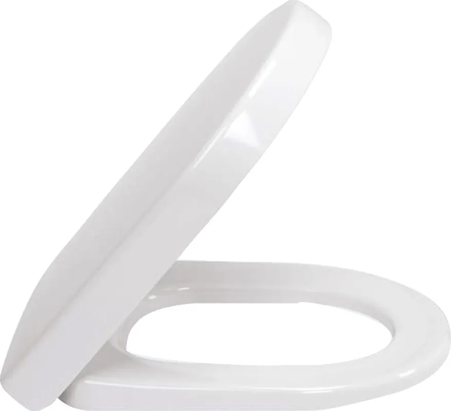 Aktuální VILLEROY & BOCH VERITY DESIGN 2.0 WC sedátko, SoftClosing, alpská bílá