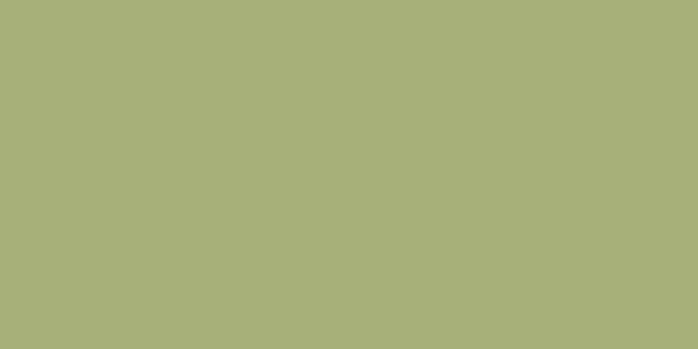ARGENTA TRENDY obklad 25x50 cm, mat, matcha Autentický
